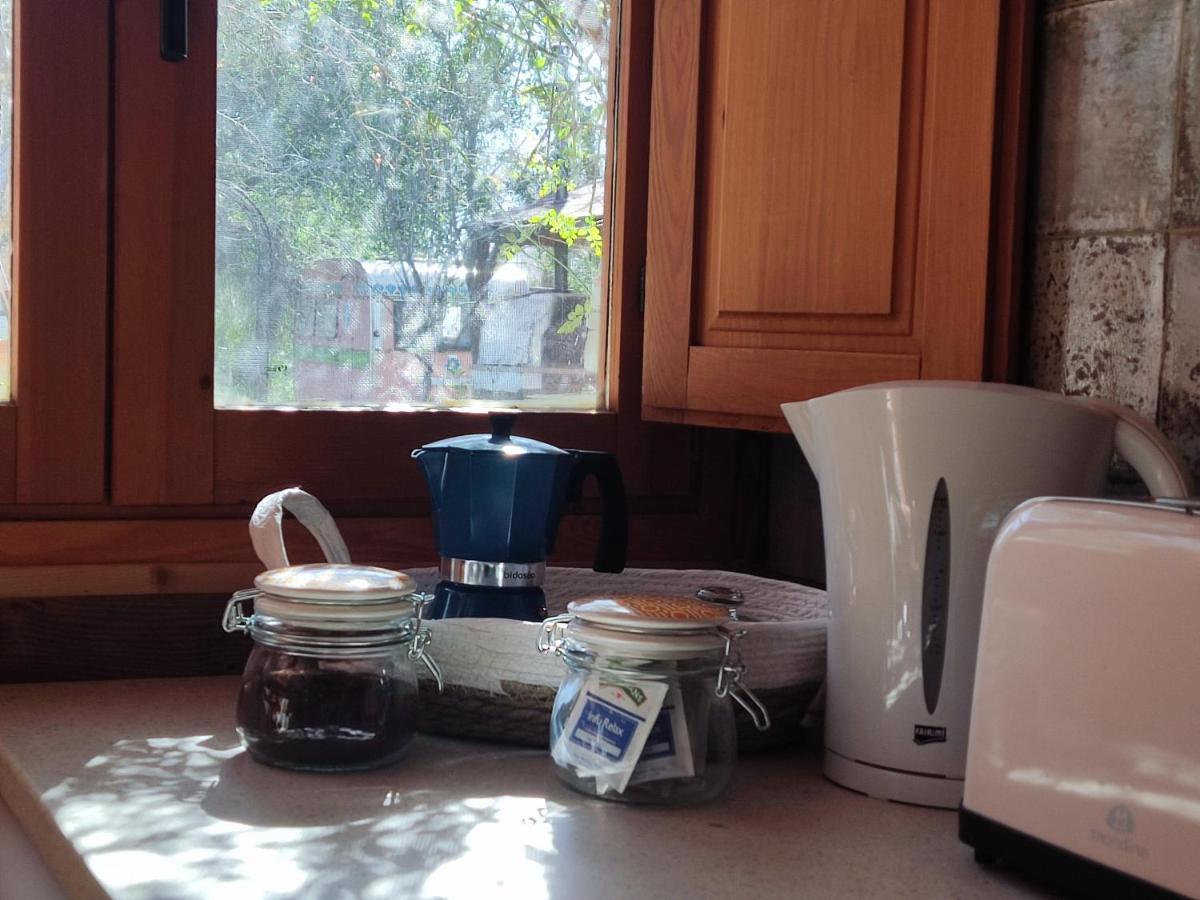 Apartamento El Grifo Carmona  Bagian luar foto