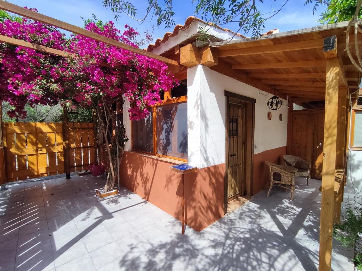 Apartamento El Grifo Carmona  Bagian luar foto
